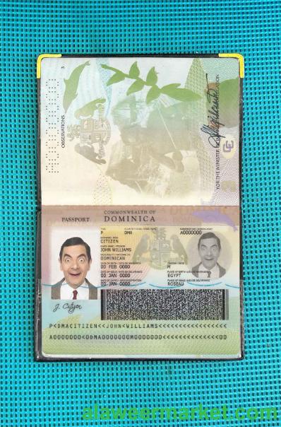 Dominican Passport photo look